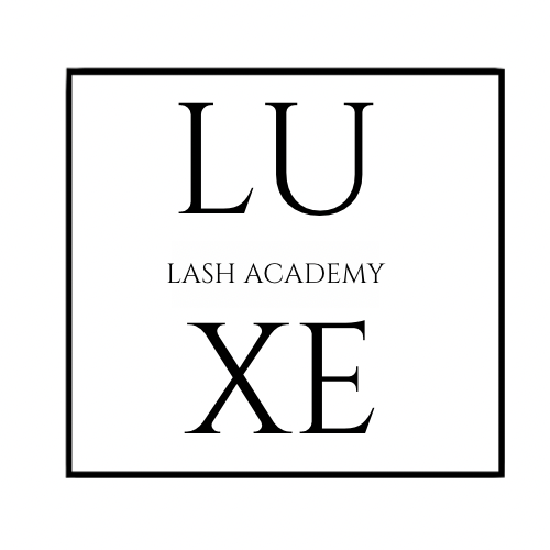 haus x lash academy